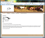 Website Carolas Ponyranch